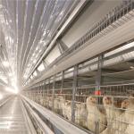 4-8 Tier Layer Egg Cages Chicken Battery Poultry Farm