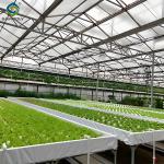 Agricultural Multispan Greenhouse Complete Hydroponic Nft Greenhouse