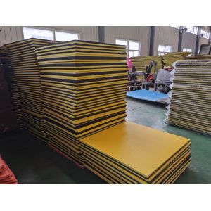 Martial Arts Karate Judo EVA Foam Mats Tatami Taekwondo Mats