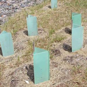China 230gsm-600gsm Density Corrugated Plastic Tree Guard Reusable Eco-Friendly factory