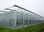 Polycarbonate Plastic Film Multi Span Agricultural Greenhouse