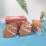 Anti Fog Foldable N95 Mask Nonwoven Melt Blasted Particulate Respirator Mask OEM