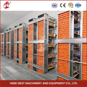 China H Type Automatic H Type Broiler Chicken Cage Video Installation Outgoing Inspection Provided Rose factory