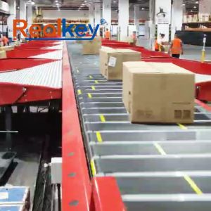 High Efficiency Package Sorting Equipment Long Lifespan Warehouse Sorting System