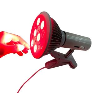 China PDT Anti Aging Infrared Light Therapy E27 36W Red Light Healing Lamp factory