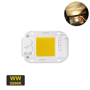 China 20W Warm White LED Module factory