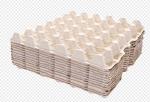 Recycled Paper Egg Box / Egg Carton Production Line 12 Months Warranty