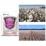 OEM HaNPV Soybean Pesticides Spray Liquid Onion Maggot High Efficiency