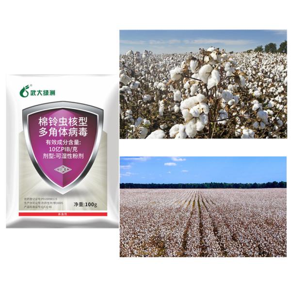 OEM HaNPV Soybean Pesticides Spray Liquid Onion Maggot High Efficiency