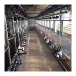 Dairy Farm Equipment Sheep Milking Parlour Vacuum Pump Cow Milk Meter