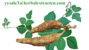 China Kudzu Root extract, Isoflavones 40%, CAS No.: 3681-99-0, Auxiliary lower blood pressure, Arctium Extract, Chinese Extrac factory