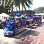 British Style Trackless Tourist Train Rides / Theme Park Train Ride
