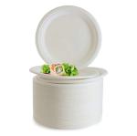 PT2095 Pure White 4 Inch Biodegradable Disposable Plates And Cutlery For