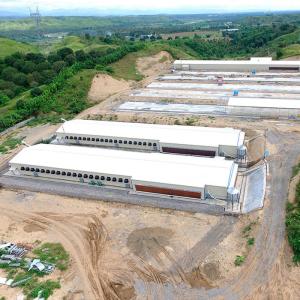 China Workshop Elevated Steel Structure Chicken House Easy Assembly High Strength factory