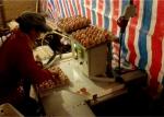 860mm Width Poultry Egg Collection System Automatic Chicken Egg Collector