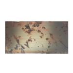 Inoxidable Patina Copper Antique Stainless Steel Sheets Thickened Scratch