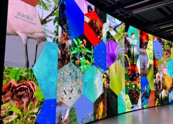 p10 Bent Iron Flexible LED Screen Full Color Waterproof Epistar Chip Video