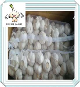 China chinese normal white garlic price China Garlic/AJO/ALI/ALHO factory