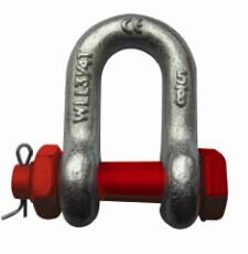 China D TYPE Shackles with screw pins G2150, US TYPE factory