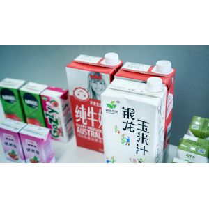 1000ml Slim Aseptic Carton Filling Machine with Cap Applicator for Milk 6000 PPH