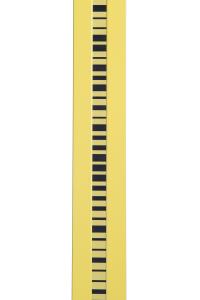 China 3m Barcode Surveyors Measuring Rod 13Kg SDL Digital Level Two Pieces Aluminium Case factory