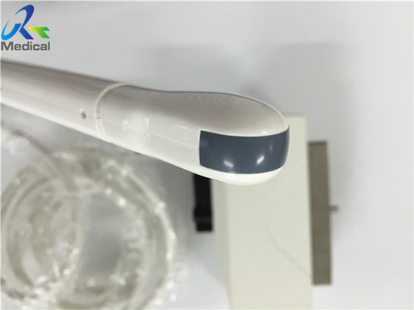 China 10mm Convex Ultrasound Transducer , Convex Probe Ultrasound EC1123 factory