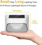 Solar Powered IP65 Waterproof Monocrystalline LED Garden Lights for Outdoor