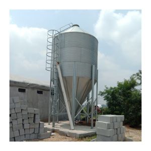 50 Broiler Chicken Fully Automatic Pan Feeding System