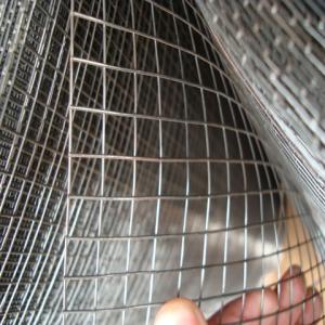 China Galvanized Welded Wire Mesh factory