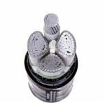70mm2 Single Core ACSR XLPE Insulated Power Cable Aluminum Conductor For
