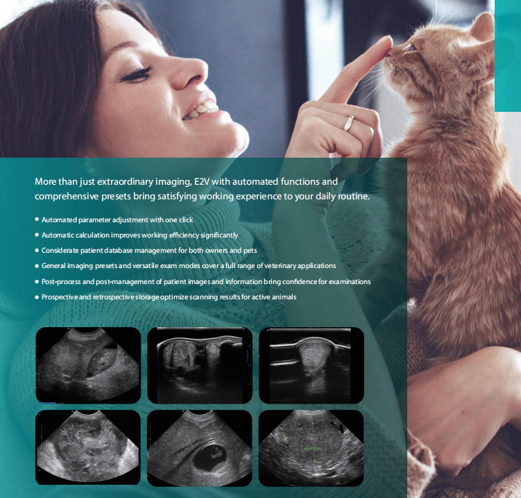 E2V Veterinary Ultrasound Doppler Color Sonoscape E2