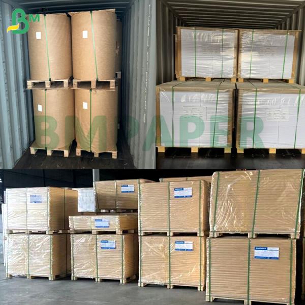 250g 270g Freeze-proofing Moistureproof White Top Coated Kraft Coard For Frozen Food Packaging 