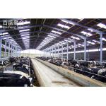 Hot Dip Galvanised Steel Cow Goat Horse Arena Cattle Sheep Shed for Poultry