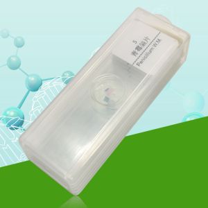 School Students Learning 5pcs Histology Glass Slides In Plastic Box