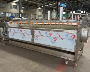 China Joyshine Brush Roller Ginger Sweet Potato Peeling and Cleaning Machine 1200kg per Hour factory