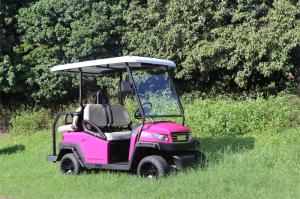 China M series 48V 2+2 Seater Golf Buggy with Trojan Battery factory