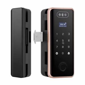 China Glass Face Recognition Door Lock Fingerprint Password Tuya Wifi Lock For Office factory
