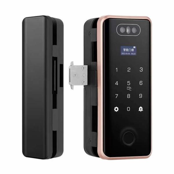 Intelligent G5S Glass Door Lock The Perfect Combination of Technology and
