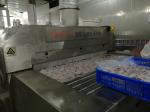 Liquid Nitrogen Chest Mesh Belt Tunnel Freezer 400kg/H 600kg/H Meatfish Fish