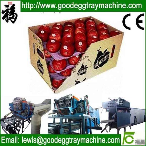 China apple fruit tray processing machinery factory