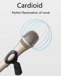 12mv/PA Tiktok Karaoke Studio Condenser Microphone For Singing And Recording
