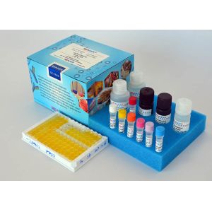 China Methyltestosterone ELISA Test Kit Rapid Detect Competitive Enzyme Immunoassay factory