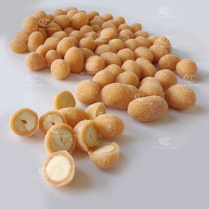 Food Grade Electricity Heating Automatic Peanut Batch Coating Machine