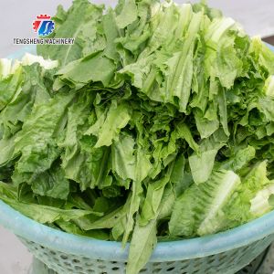 Fruit and Vegetable Draining Machine Fruit Vegetable Onions Herbs Saiko