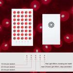 FCC Professional Light Therapy Equipment 200W Infrared Light Therapy For Pain