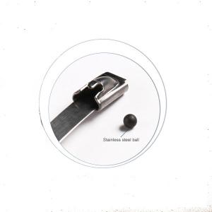 China Ball type pvc cable marker self locking nylon cable tie ss304/316 pvc coated stainless steel factory