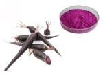 Organic Black Carrot Vegetable Extract Powder For Natural Pigment