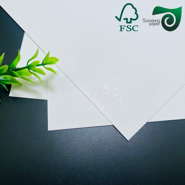 FSC Certified C2S Matte Coated Art Paper High End Printing Packaging Solution