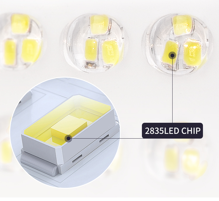 LED flood light