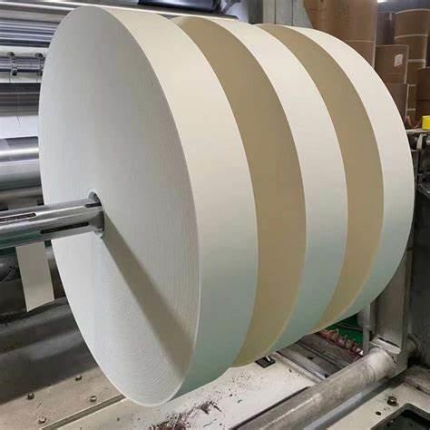 China 100% Wood Pulp Raw Material Paper Cup Bottom Roll For Making PE Coated Paper Cups factory